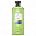 Herbal Essences Bio:Renew Aloe & Euc Shampoo 400mL