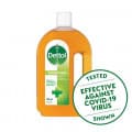 Dettol Antiseptic Antibacterial Disinfectant Liquid 750mL