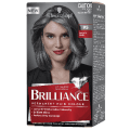 Schwarzkopf Brilliance 95 Smokey Grey