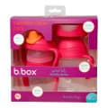 Bbox Transition Cup Value Pack Rasberry 4pk