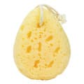Simply Essential Luxe Bath Sponge