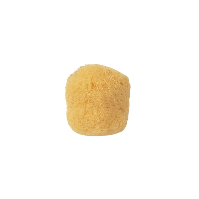Manicare Cosmetic Sea Sponge (539) - 34533539003 are sold at Cincotta Discount Chemist. Buy online or shop in-store.